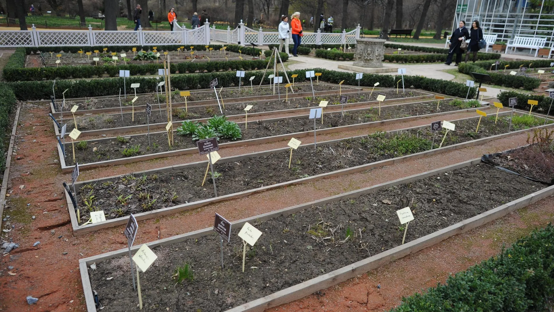 Паразитолог Бартули пояснил, чем опасен дачный сезон