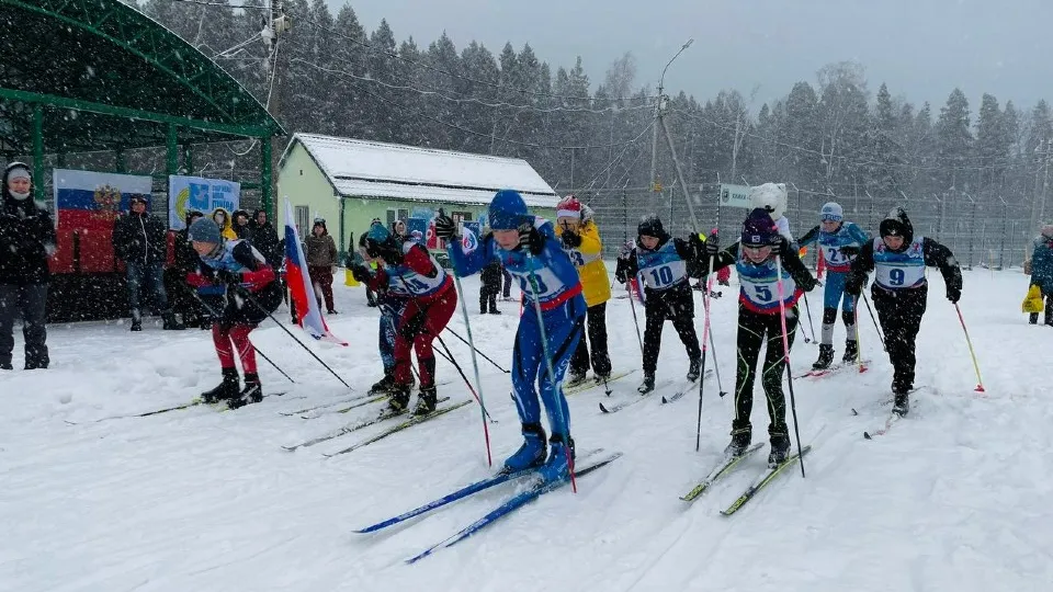 Фото: пресс-служба администрации г.о. Химки