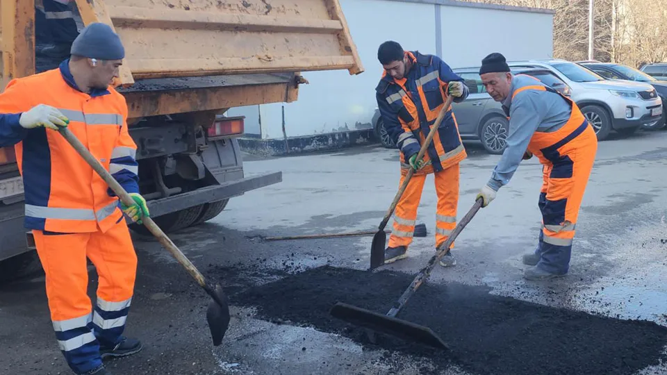 Фото: Ольга Шеметова