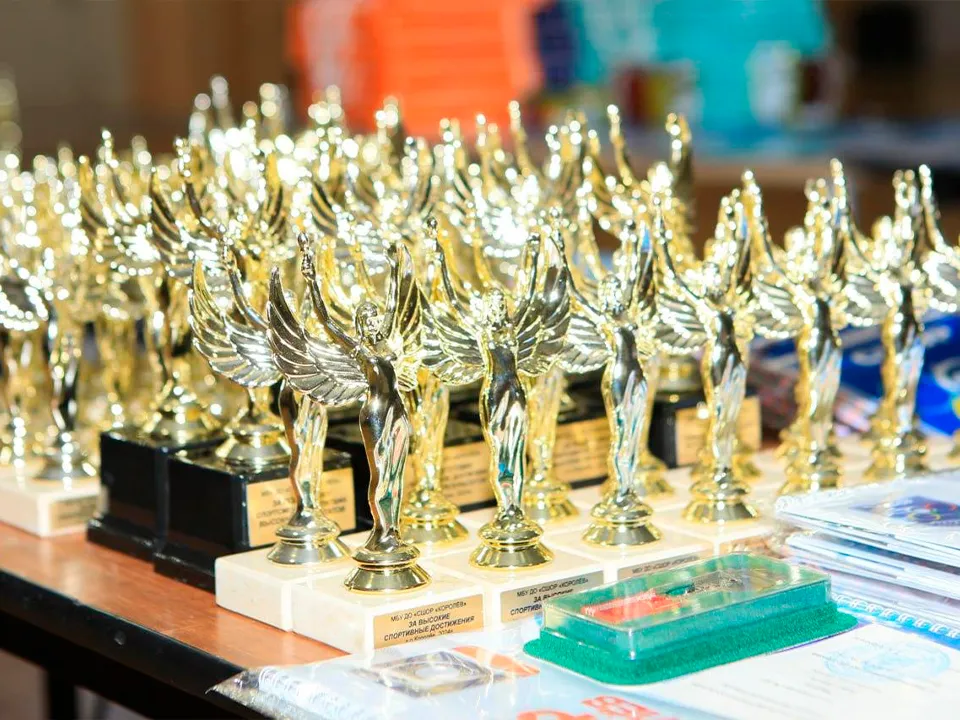 Фото: пресс-служба администрации г.о. Королев