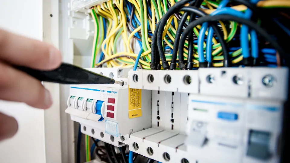 Фото: pxhere.com