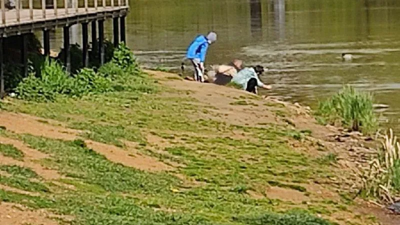 Жестокие игры: подростки кидали камни в уток на пруду Балашихи