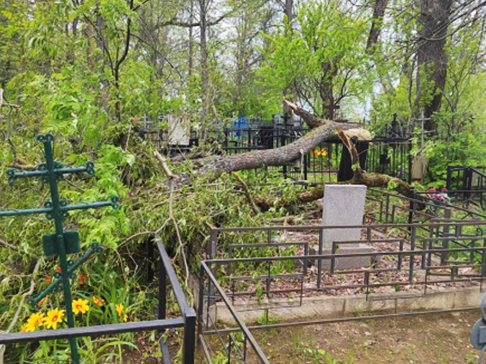 Фото: пресс-служба администрации г.о. Ступино