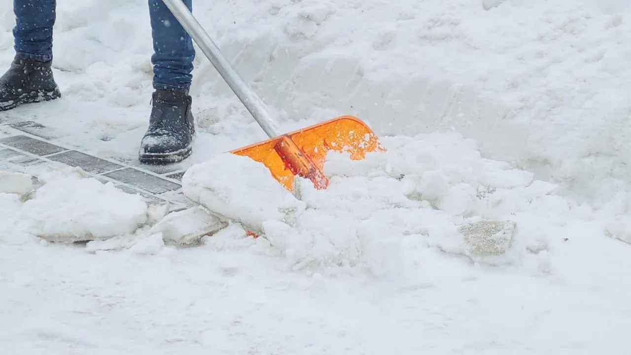 REGIONS/Артем Мишуков