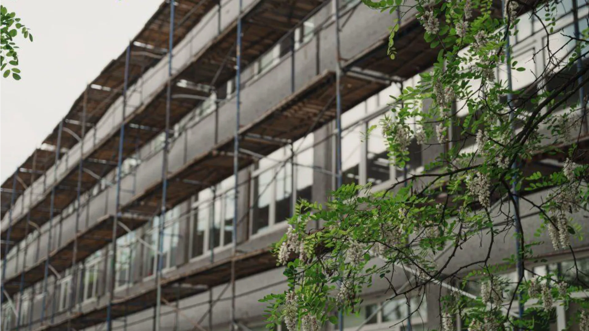 Фото: Администрация Лосино-Петровского г.о.