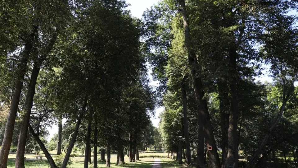 Фото: Администрация г.о. Чехов