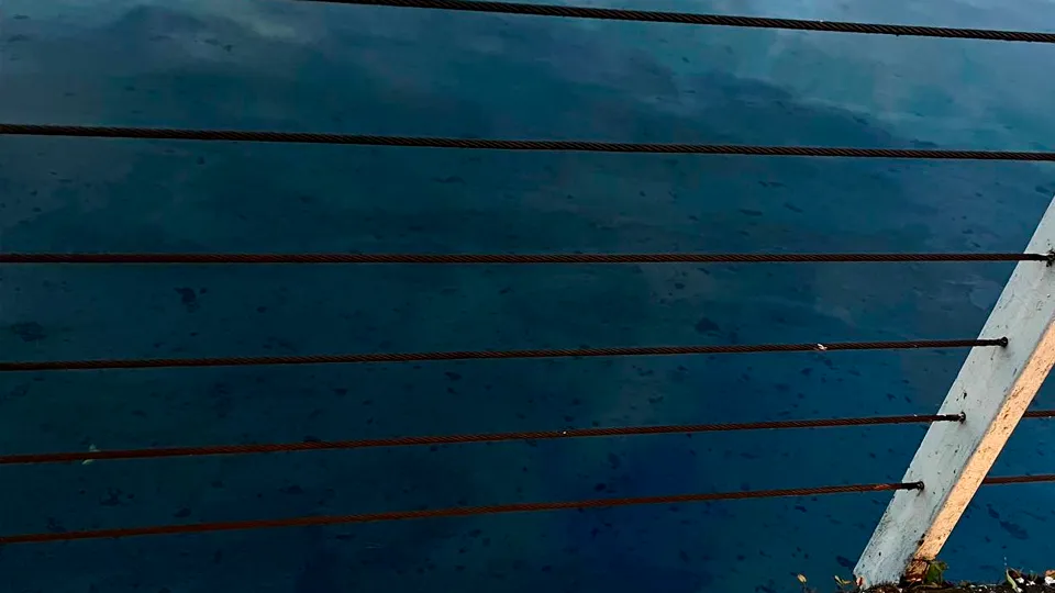 Фото: пресс-служба администрации г.о. Долгопрудный