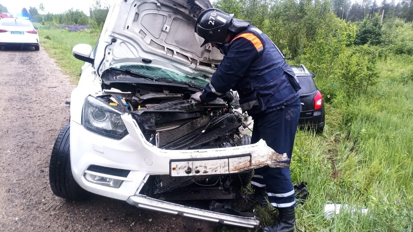 Фото: ГКУ МО «Мособлпожспас»