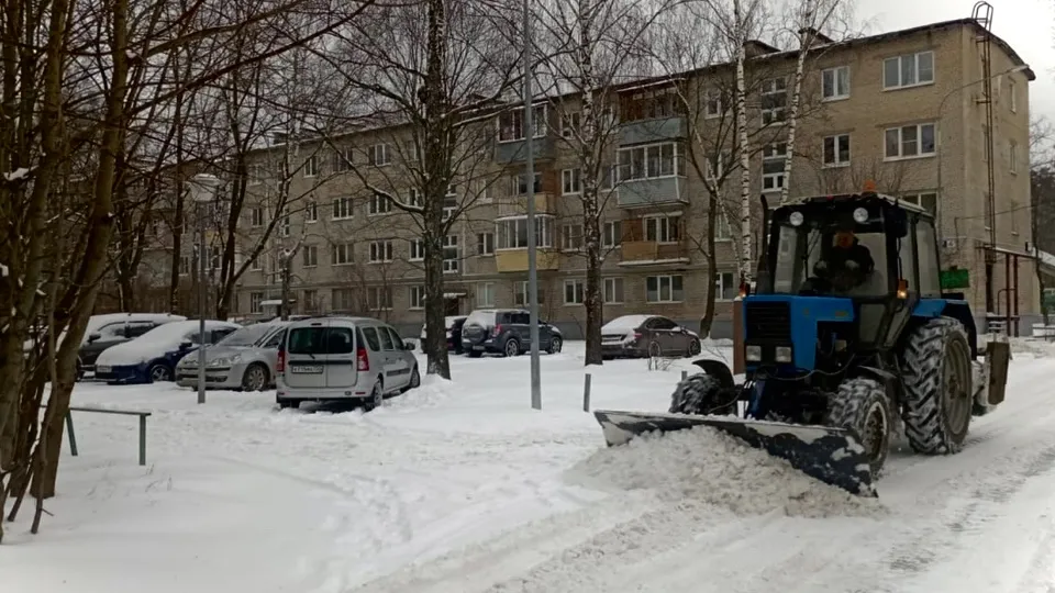 Фото: пресс-служба администрации г. о. Черноголовка