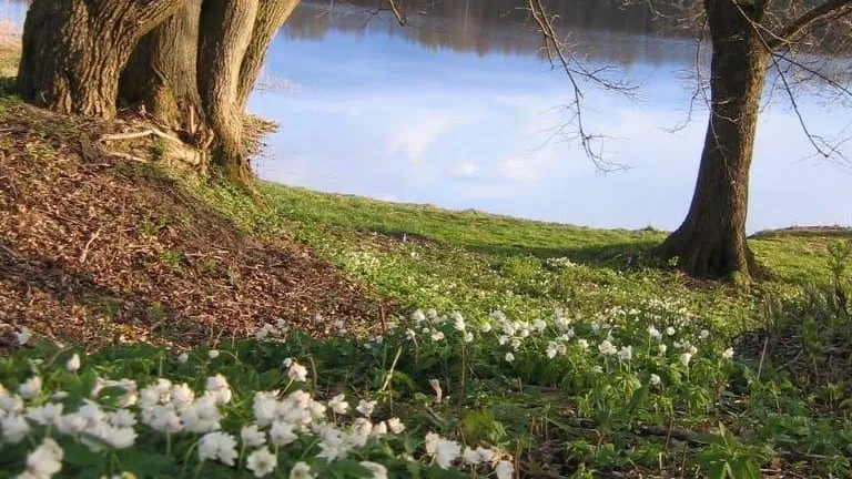 фото:.freepik.com