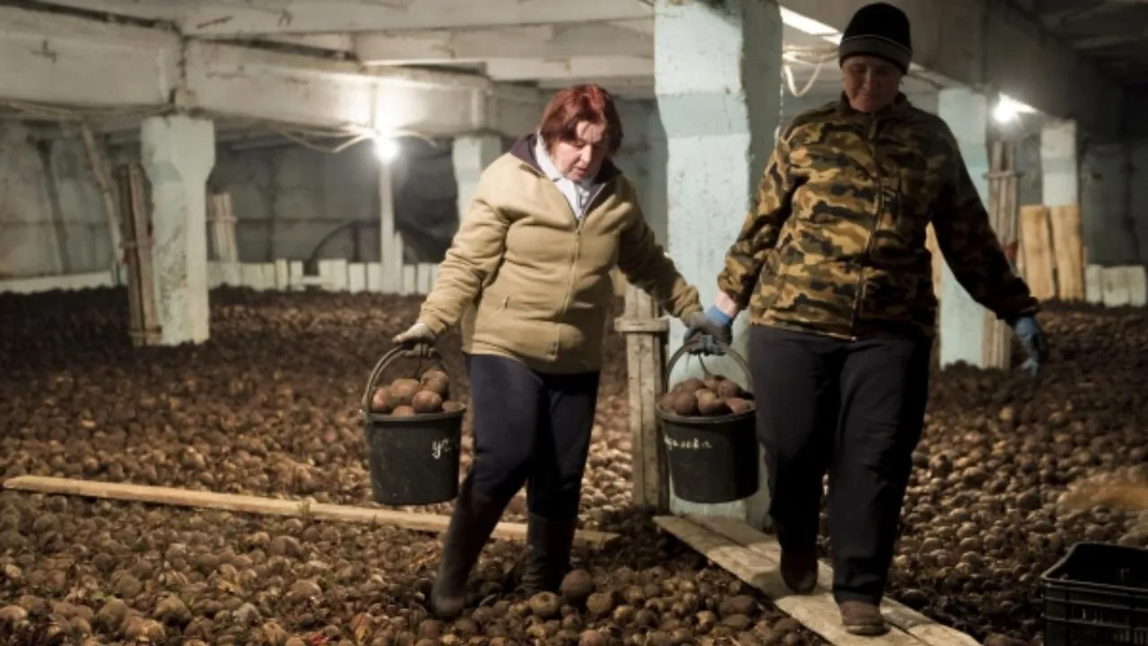 Два ангара для сельхозпродукции планируют построить в Балашихе
