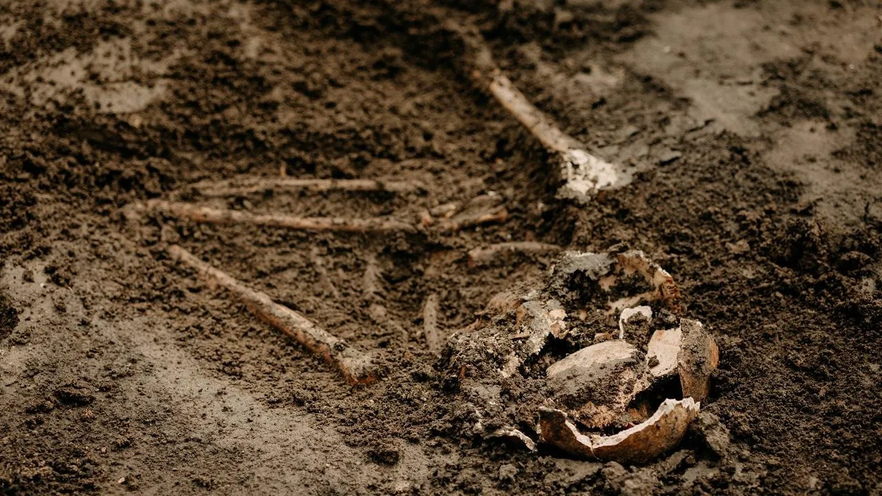 Могильник с останками детей обнаружили на юге Подмосковья