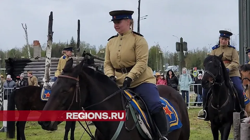 Фото: Никита Сморкалов