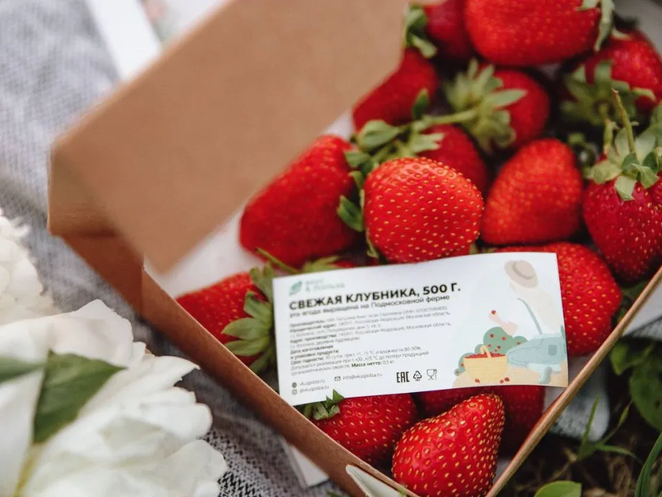 Фото: МедиаБанк Подмосковья/Макар Лисов