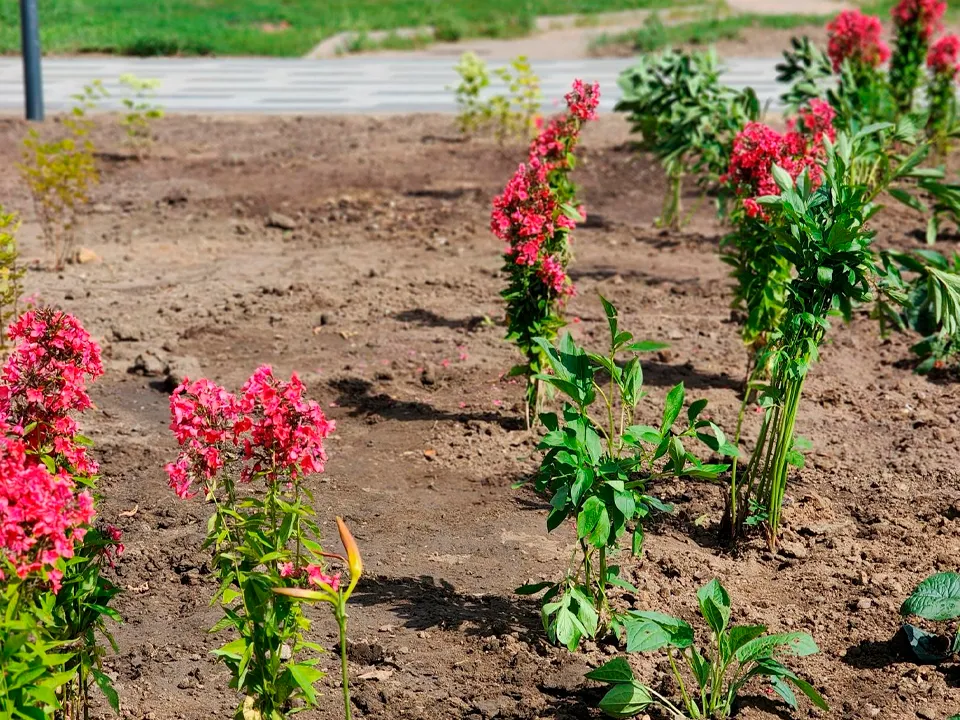 Фото: Роман Савельев