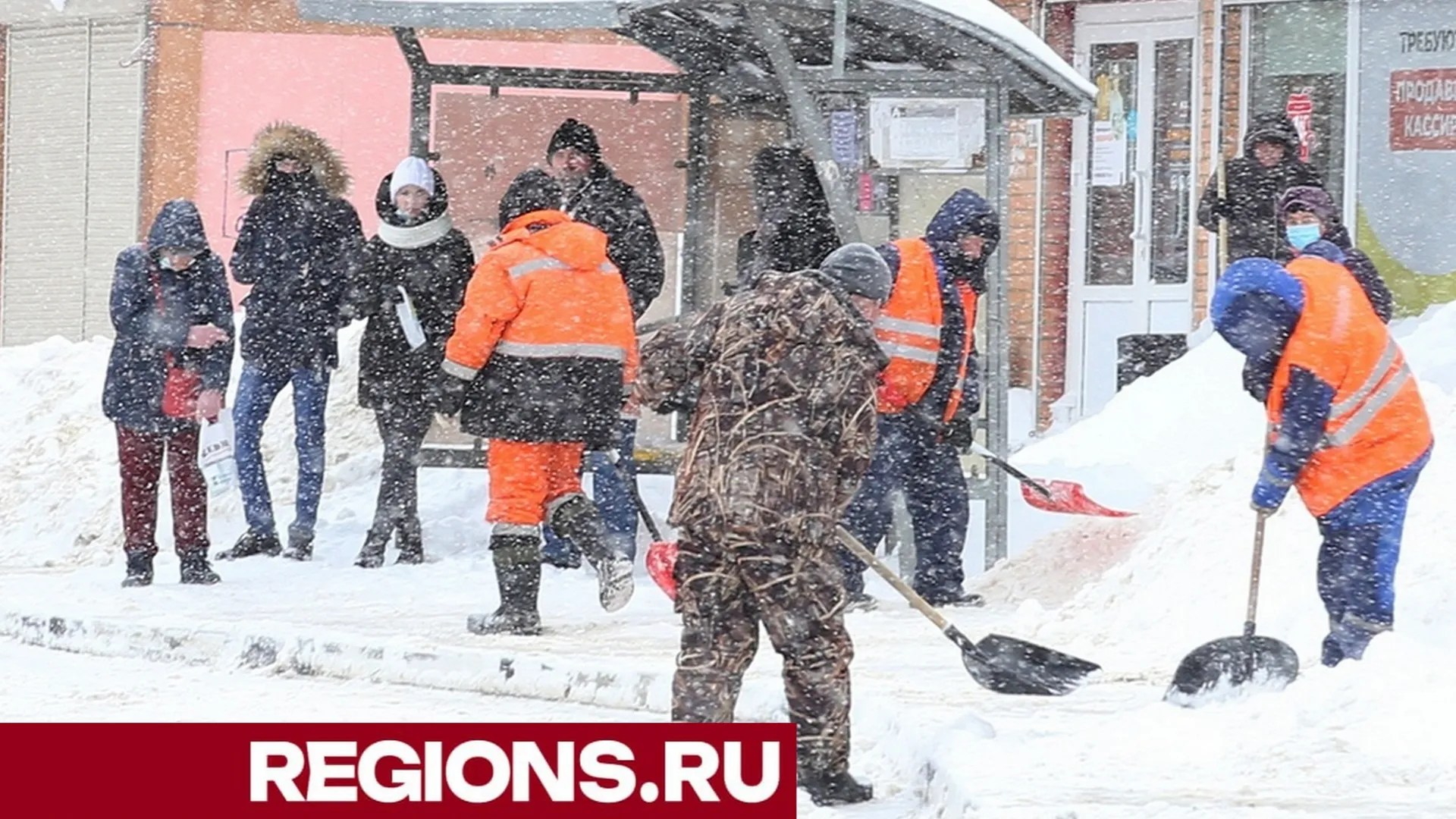 Фото: Александра Дрожжина