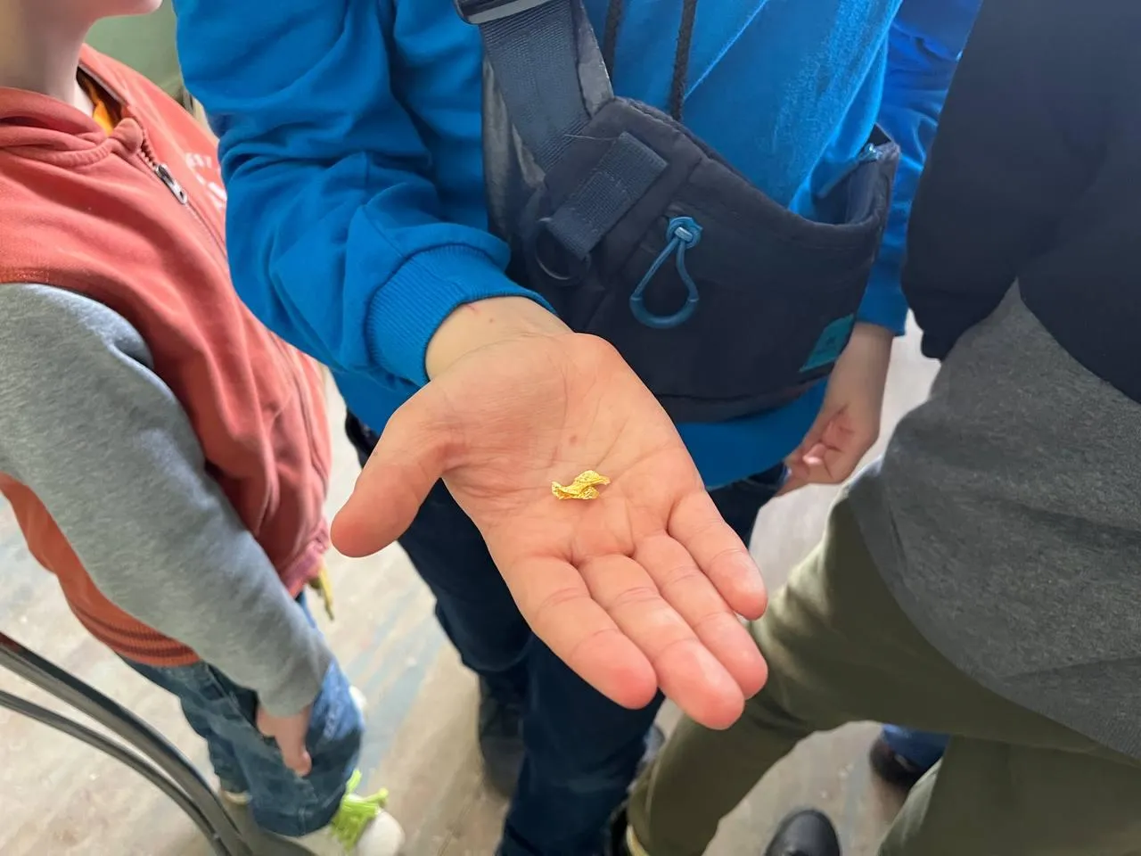 Фото: Министерство социального развития Московской области