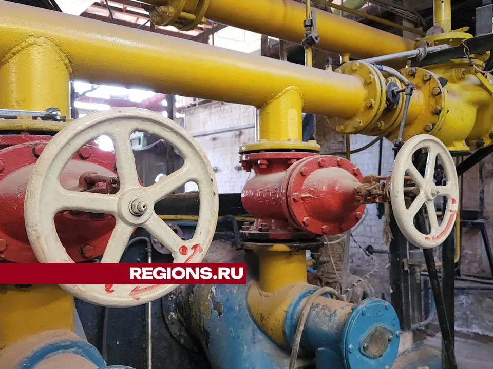 Фото: Валерия Тингаева