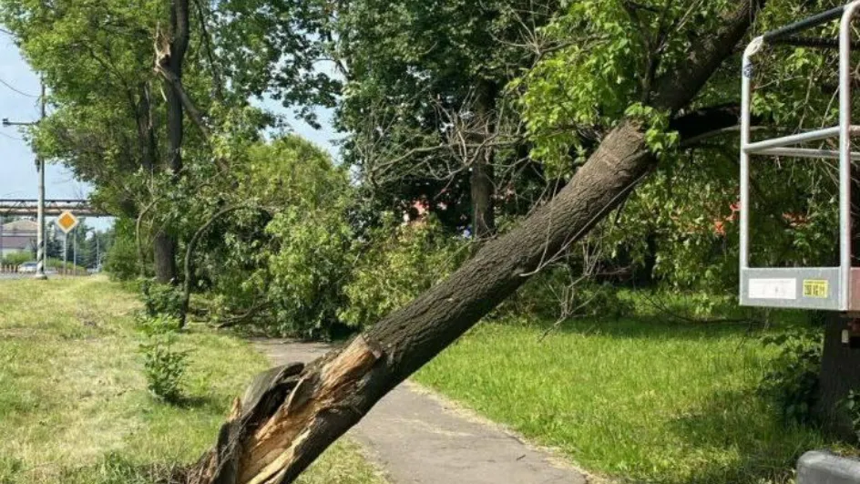 Фото: Минчистоты МО