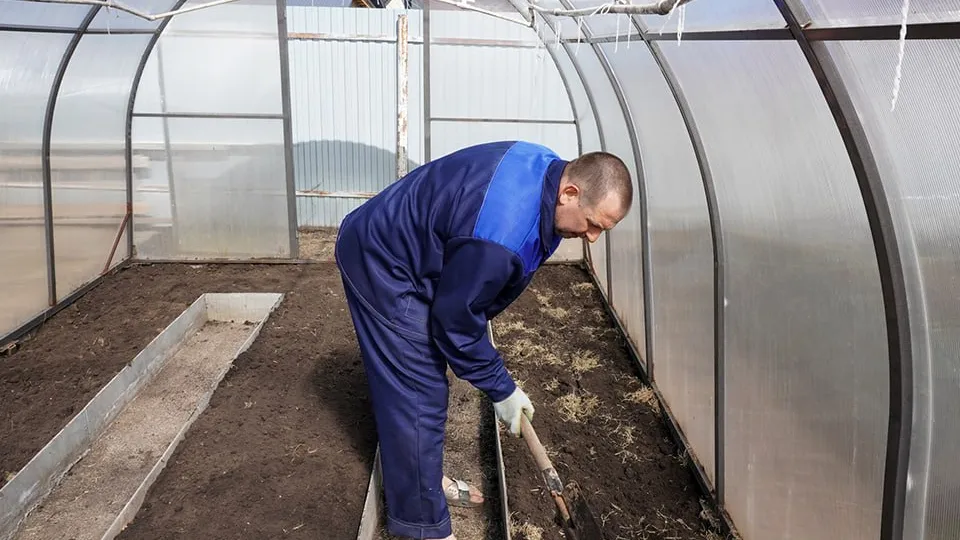 Фото: istockphoto.com/Liubov Polozhentseva