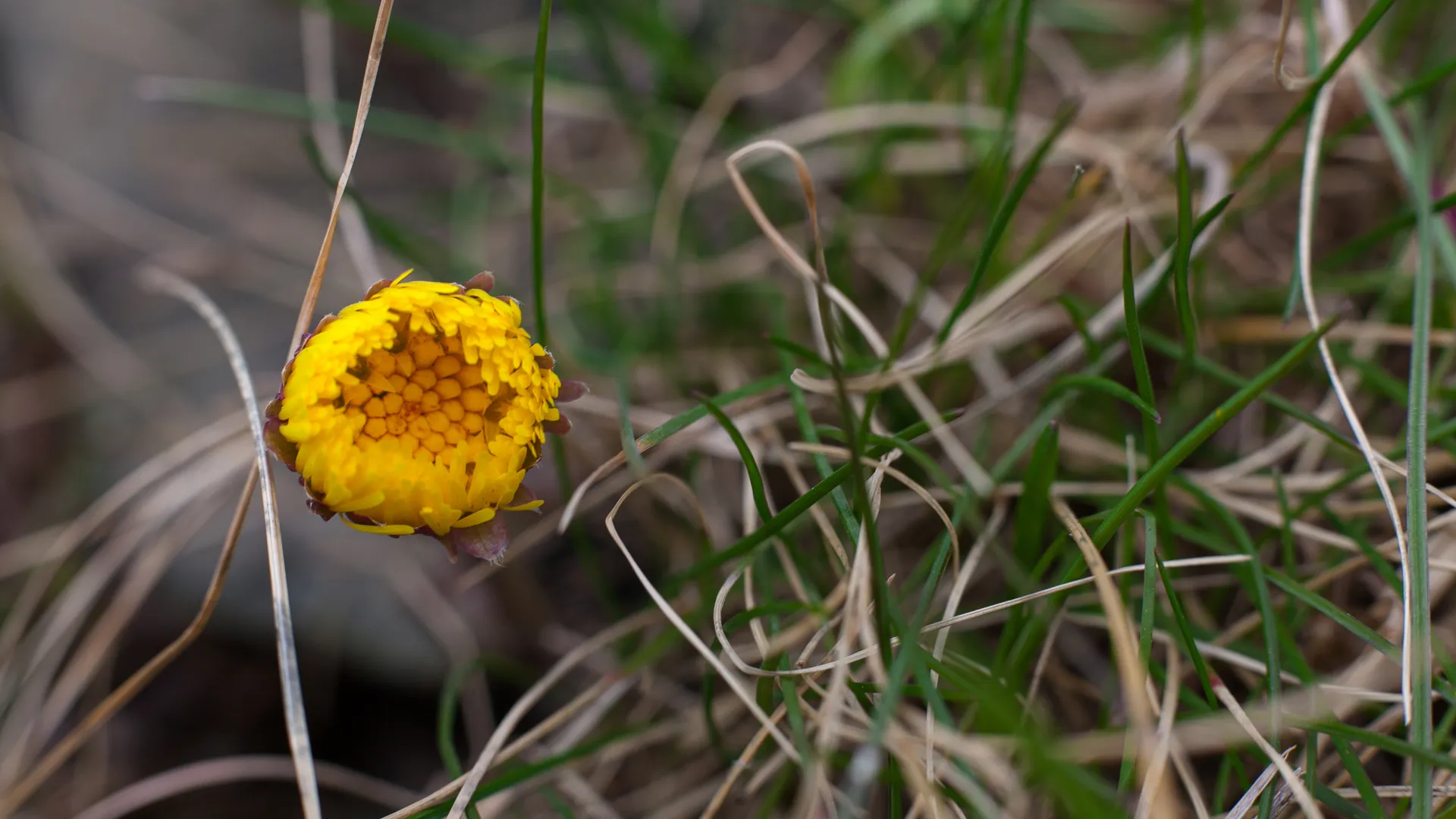 медиасток.рф