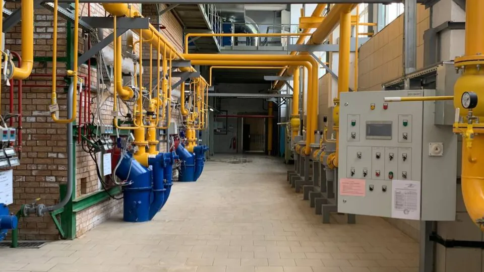 Фото: пресс-служба администрации Можайского м. о.