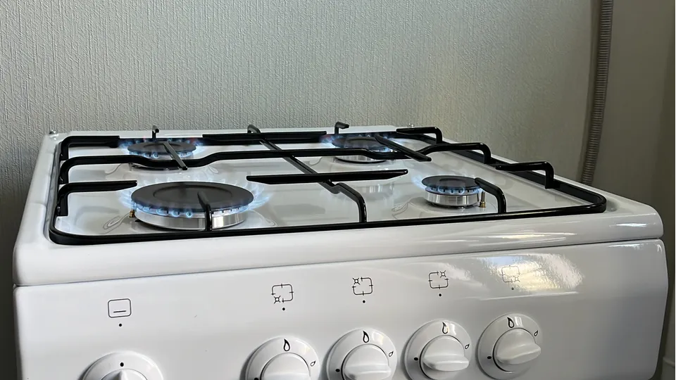 Фото: МедиаБанк Подмосковья/Елизавета Приймак