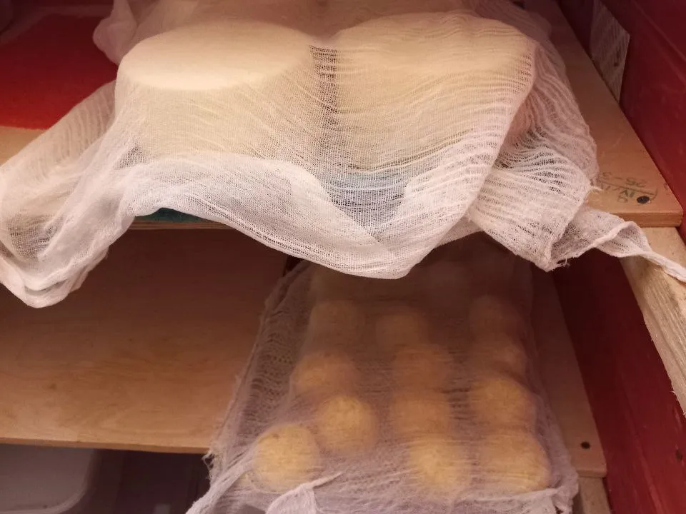 Фото: Елена Шумакова