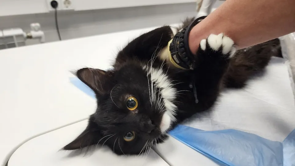 Фото: Мария Андрюхина