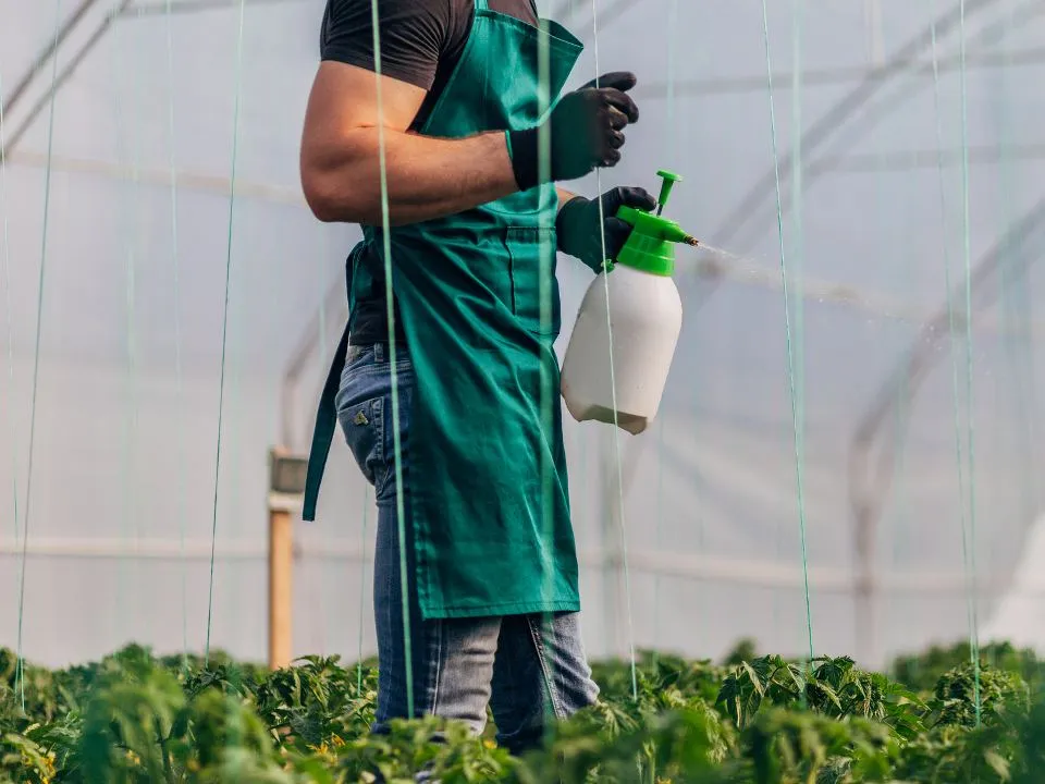 Фото: istockphoto.com