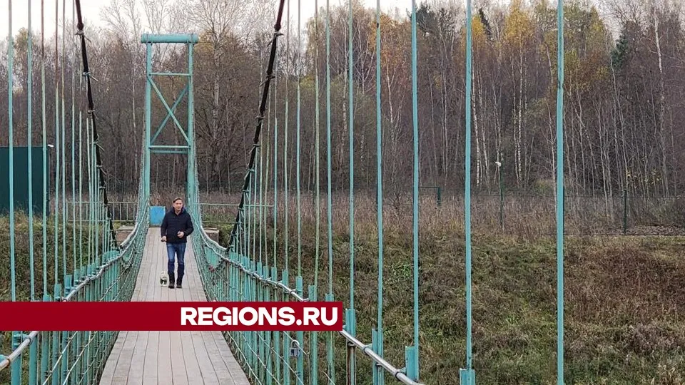 Фото: Хавива Фонина