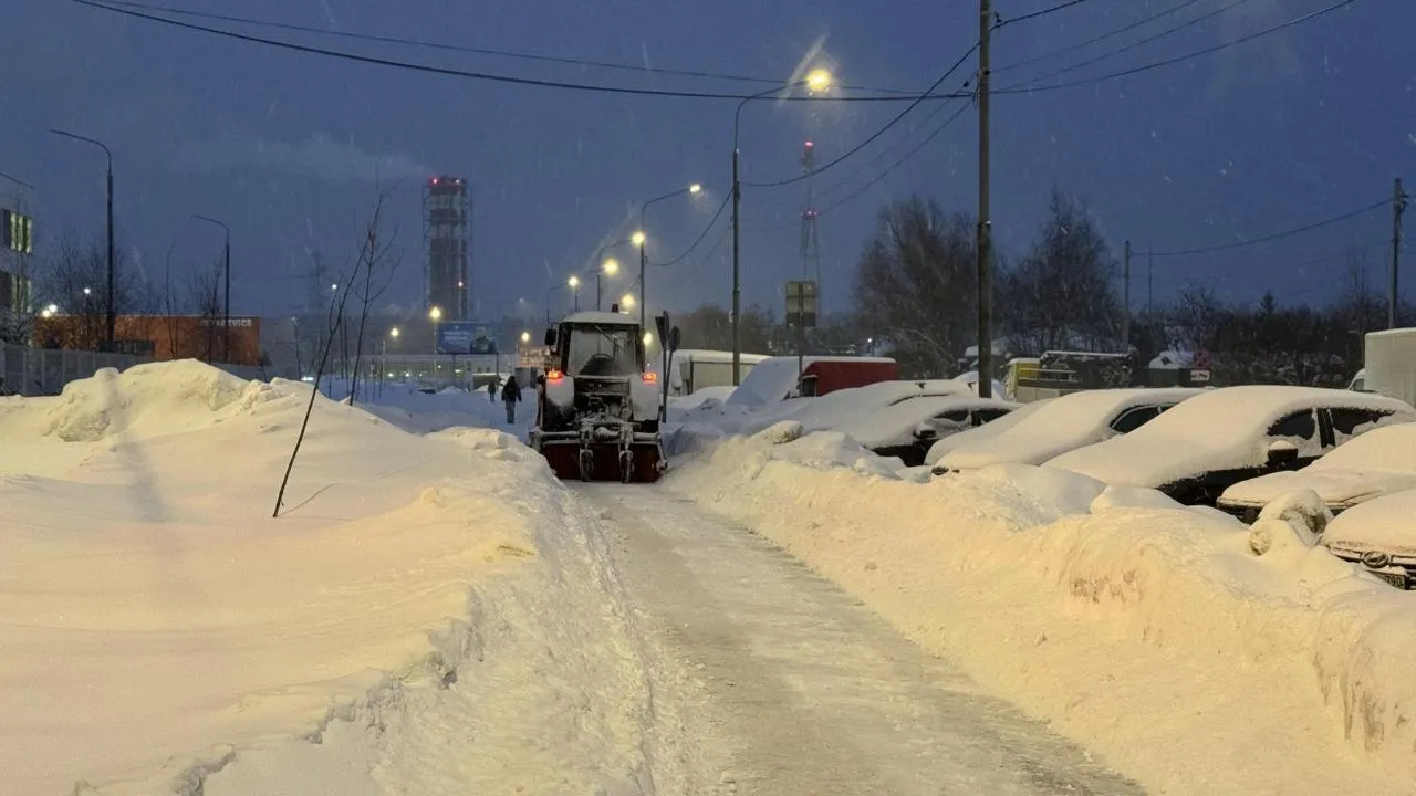 Полина Абраменко