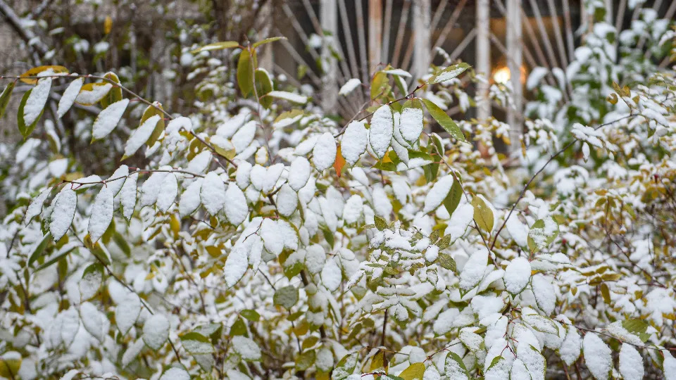 Фото: медиасток.рф