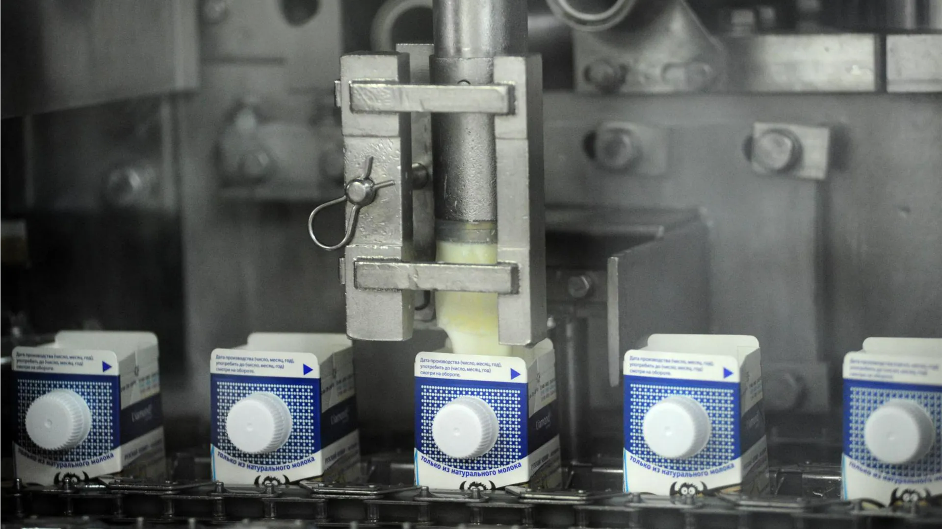 Фото: медиасток.рф