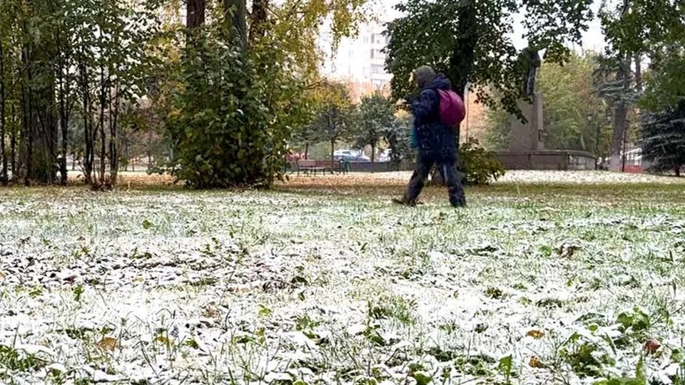 Фото: МедиаБанк Подмосковья/Ольга Антонова