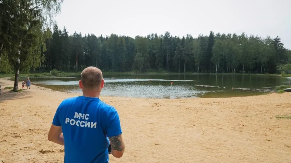 Фото: пресс-служба администрации Сергиево-Посадского г.о.