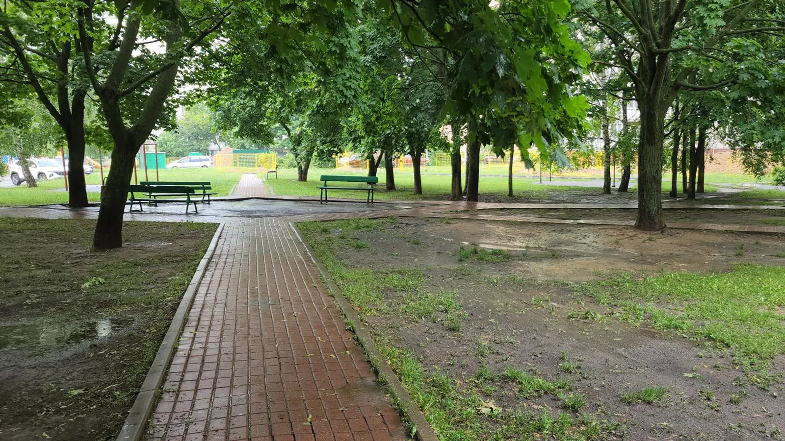 Фото: Андрей Семибратов