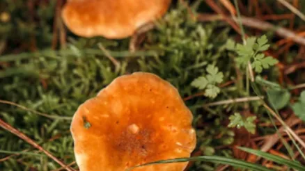 Фото: freepik.com