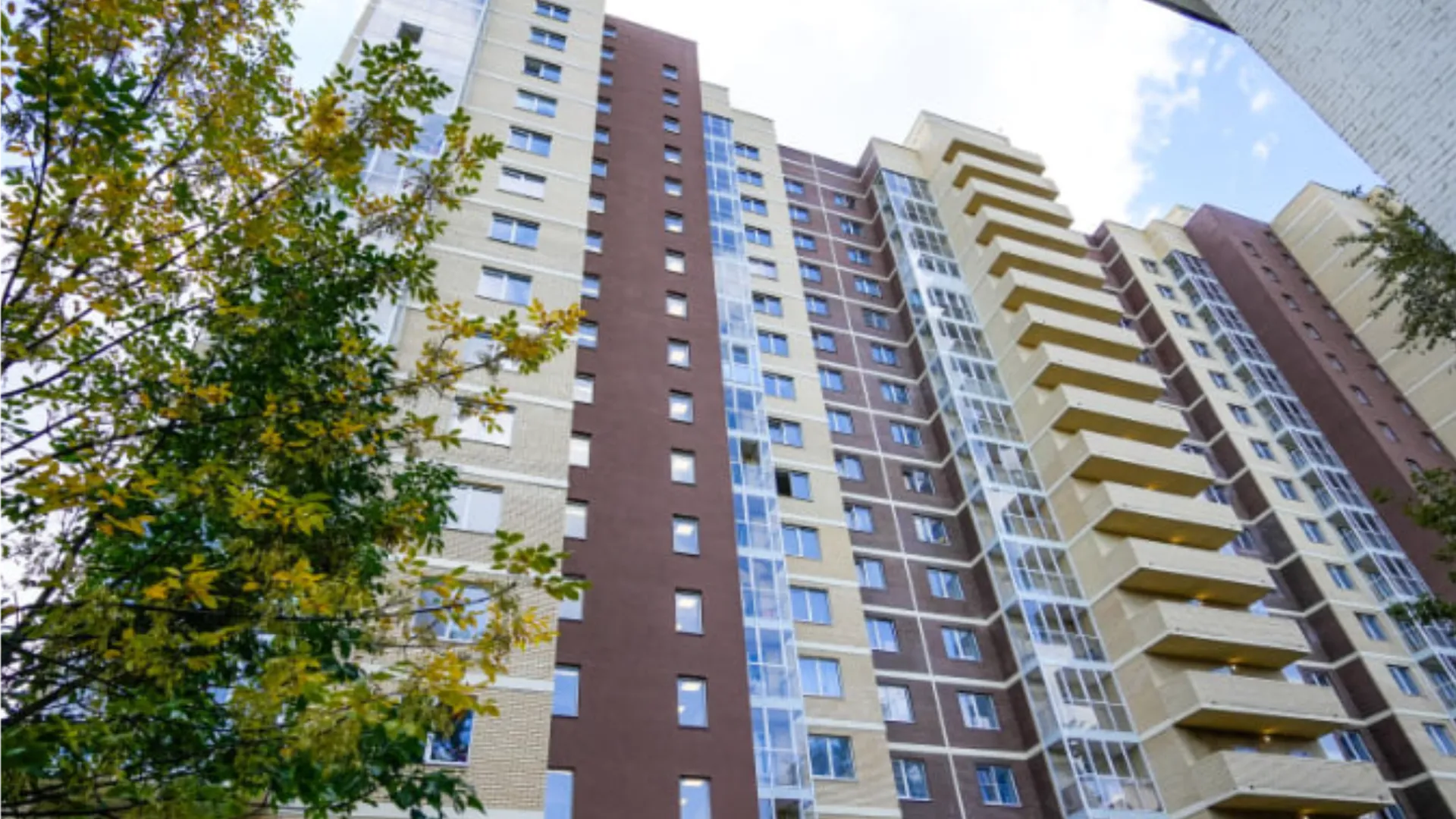 Фото: Министерство по содержанию территорий и государственному жилищному надзору МО