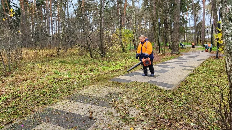 Фото: REGIONS/Анна Мороз