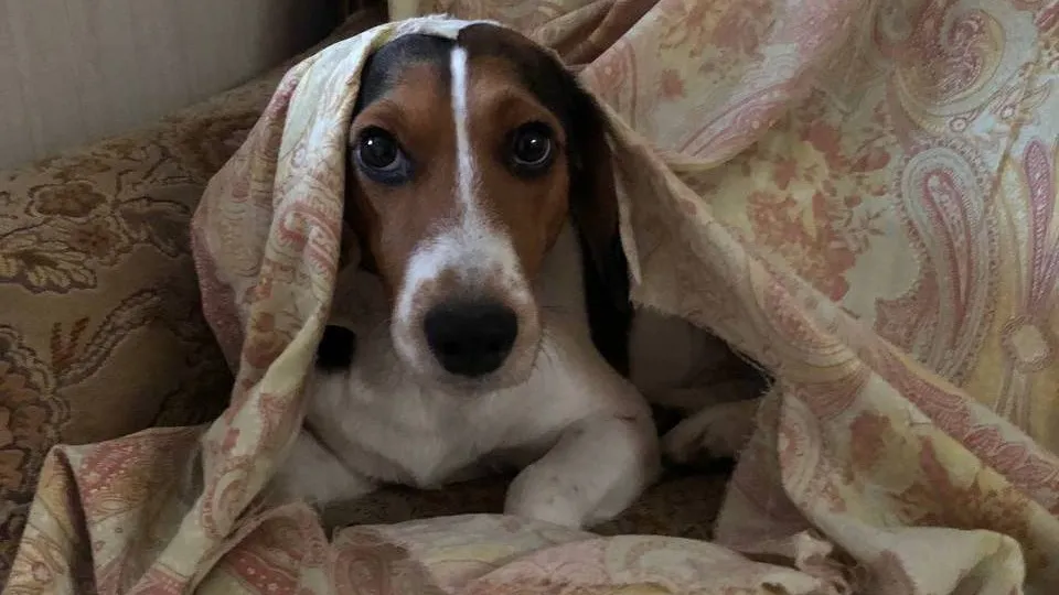 Фото: Алена Новикова