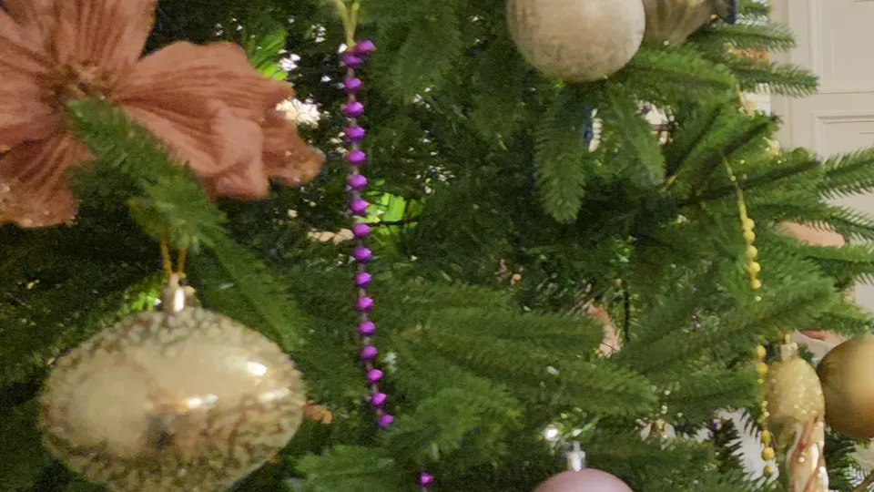 Фото: МедиаБанк Подмосковье/Роман Кутузов