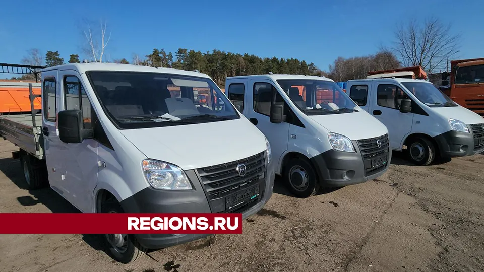 Фото: REGIONS/Валерий Гореловский