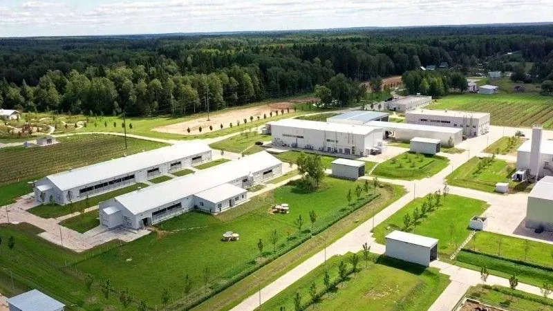 Подмосковная ферма победила на всероссийском конкурсе «Народный органический бренд»