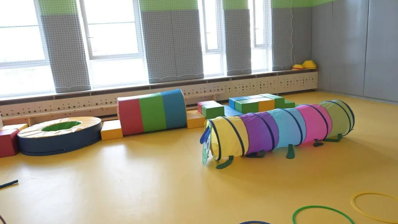 пресс-служба губернатора и правительства Московской области