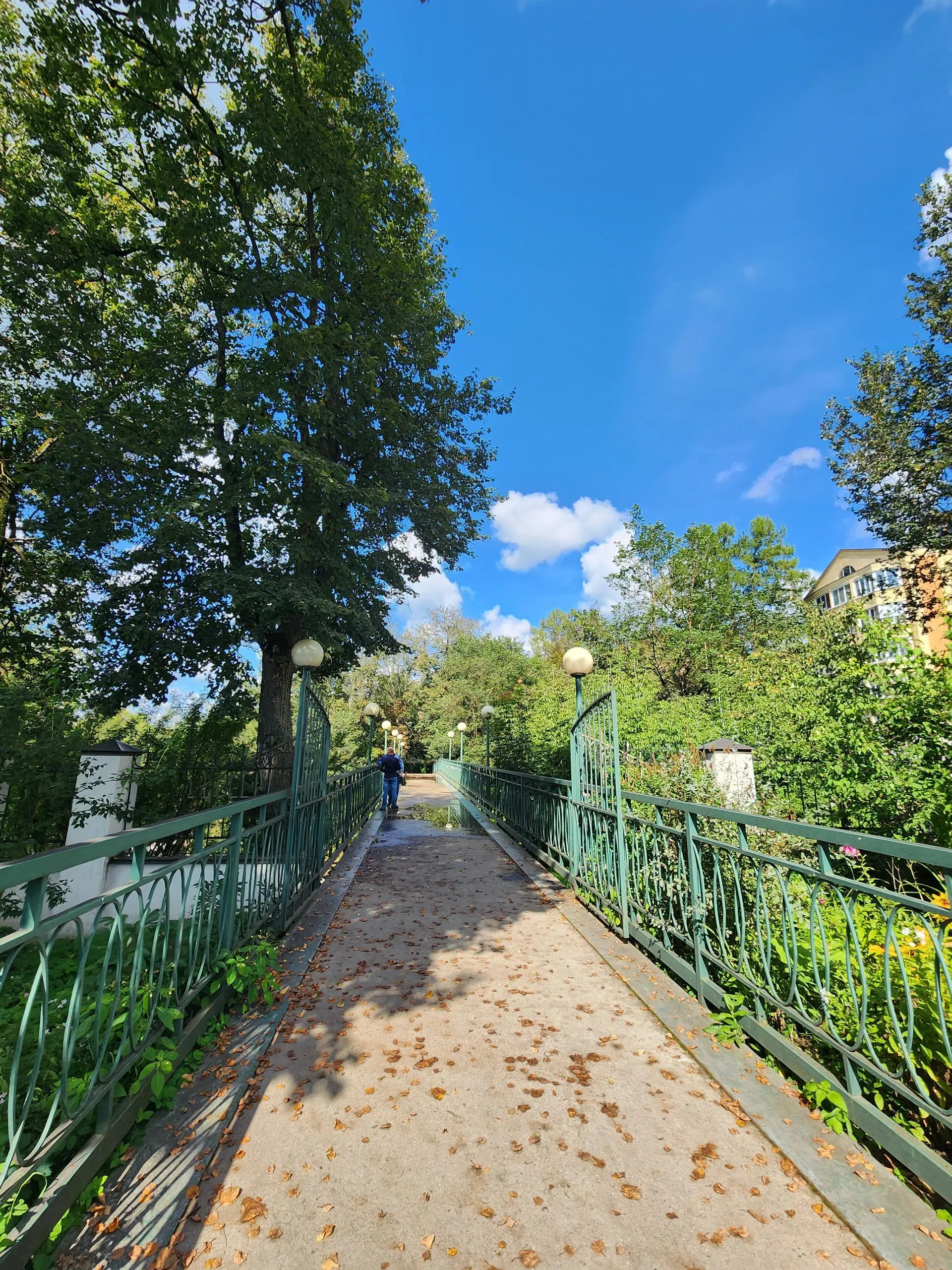 Фото: Хавива Фонина