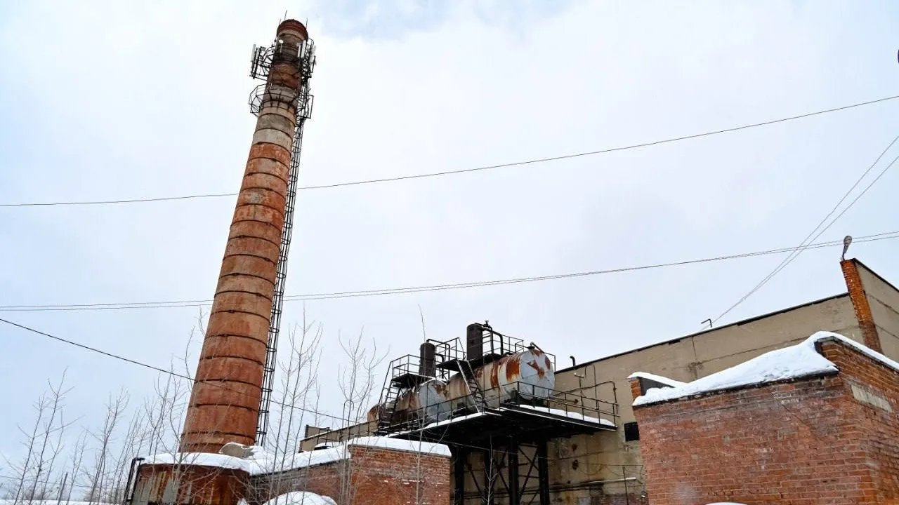 Фото: пресс-служба администрации Сергиево-Посадского г.о.