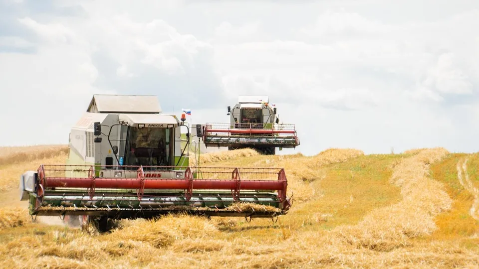 Фото: пресс-служба Администрации г.о. Домодедово