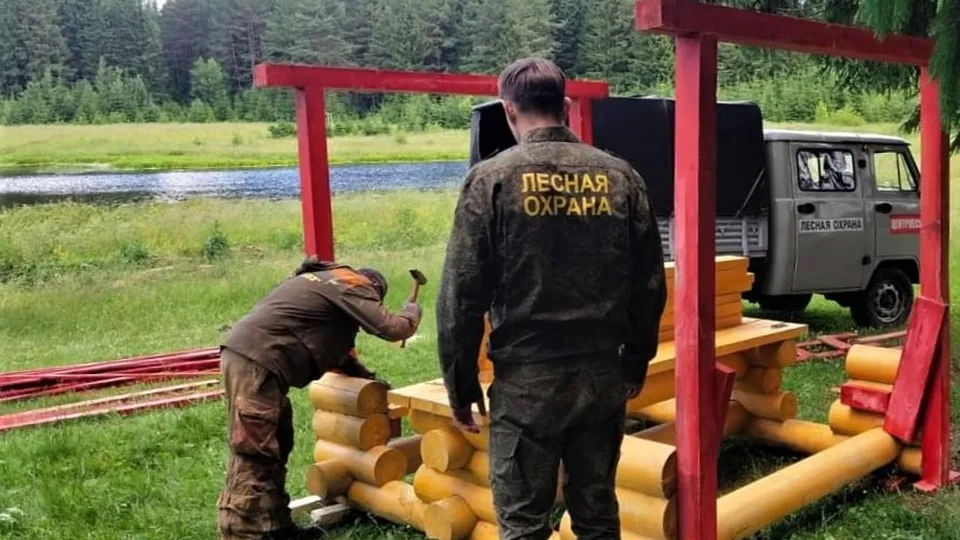 Фото: Комитет лесного хозяйства Московской области