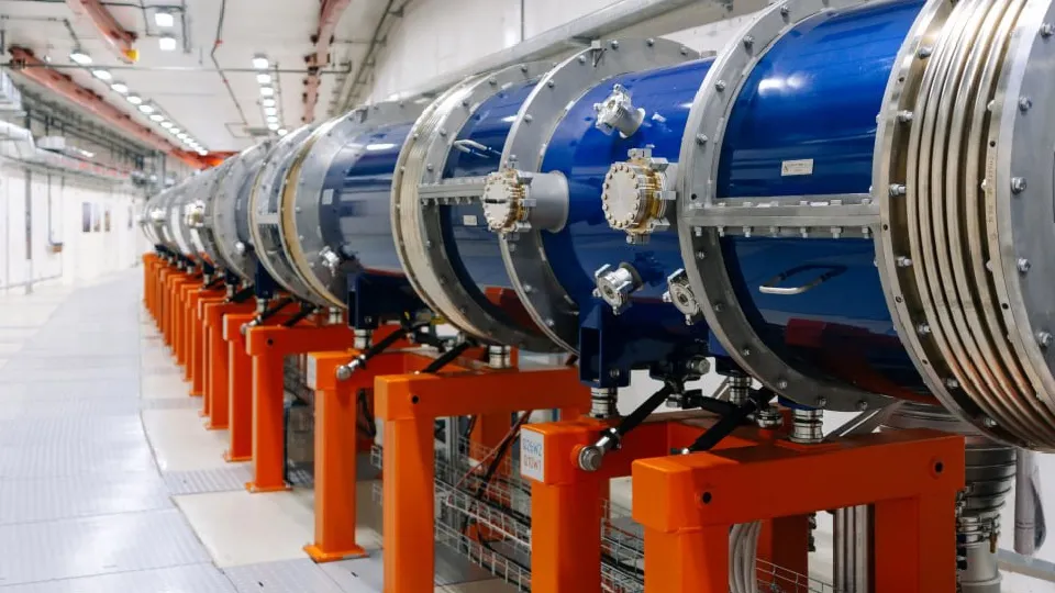 Фото: t.me/jinrofficial